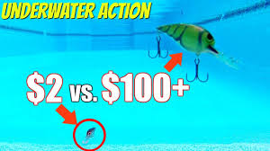 Cheap Vs Expensive Wiggle Wart Style Baits Underwater Testing
