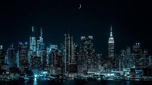 new york city at night backiee