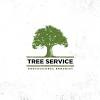 Professional tree care services company serving alexandria, va. 1