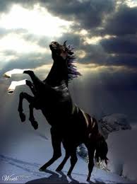 images?q=tbn:ANd9GcResWqAGv-8FK2lyh9qOMLtOZNteFZO-FYaddtG_PHLg_XZYgyBHg