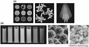 ejemplo de nanopartículas. a) nanopartículas orgánicas: de izquierda a... |  Download Scientific Diagram