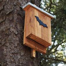 installer un nichoir pour chauve souris