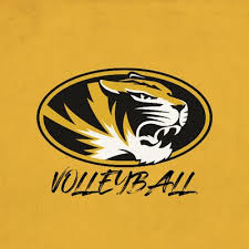 Image result for mizzou volleyball
