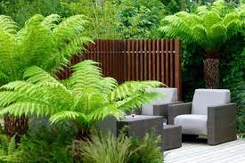 Tropical Garden In Northwood Modern