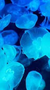 neon blue jellyfish iphone 8