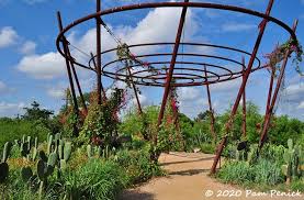 san antonio botanical garden reopening