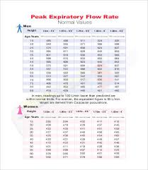 Peak Flow Chart Templates 7 Free Pdf Documents Download