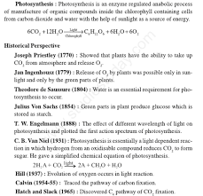 Cbse Class 11 Biology Photosynthesis In