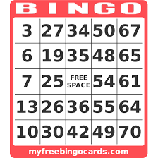 Image result for bingo card