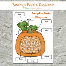 Diy Felt Pumpkin Parts And Life Cycle With Printables