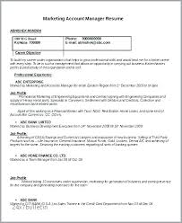 Commercial Real Estate Leasing Agent Resume Example Home