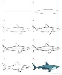 shark drawing ideas how to draw a