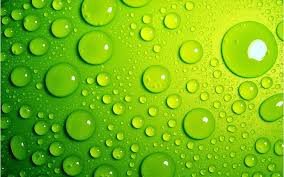 hd wallpaper water drops macro green