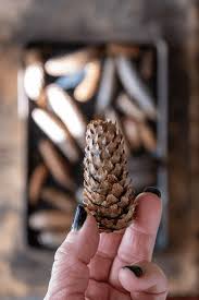 How To Make Scented Pine Cones The