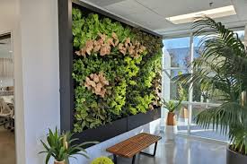What Living Wall Is Best For You
