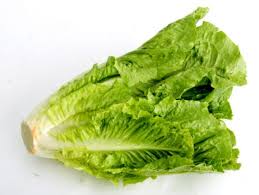 romaine lettuce nutrition facts