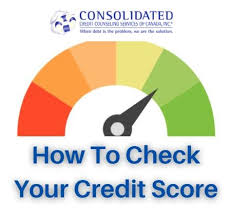 Find out about the factors that contribute to your score here. How To Check Your Credit Score Consolidated Credit Canada