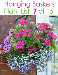 15 beautiful flower hanging baskets