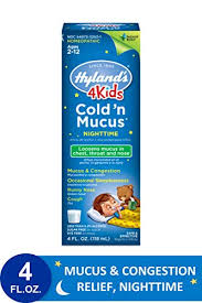 Kids Cold And Mucus Liquid Night Time Congestion Relief For Children By Hylands 4kids 4 Ounce Packaging May Vary