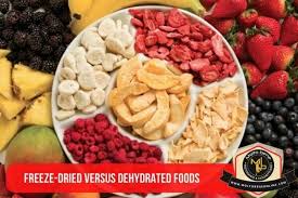 freeze dried versus dehydrated foods 2023