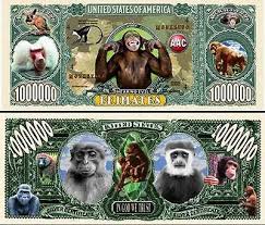 monkey business primates million dollar