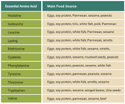 Amino Acid Food Chart Www Bedowntowndaytona Com