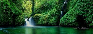 Are you looking to launch your online business? Nice Nature River Waterfall Facebook Cover Nature