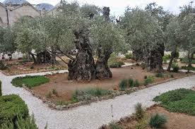 gethsemane israel private tour