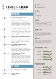 Clean  Professional CV with matching Cover Letter and CV Writing Advice  Pinterest