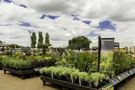 Yes, garden centre is a noun. The Uk S Best Garden Centres To Visit Now They Have Reopened Home The Sunday Times