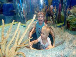 fun things to do with kids in toronto