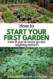 Gardening 101 How To Plant A Garden