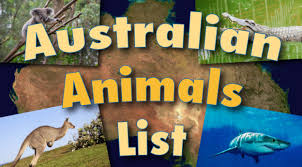 Australian Animals List With Pictures Facts Information