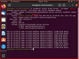 installing sql server on ubuntu
