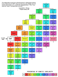 Cousin Relationship Chart Dna Genealogy Genealogy
