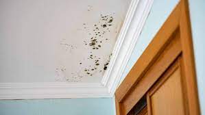 top causes for brown spots on the ceiling
