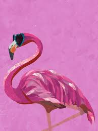 Pink Flamingo Europosters