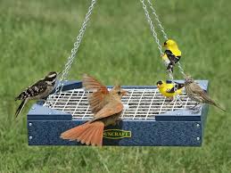 how to keep birds from eating gr seed