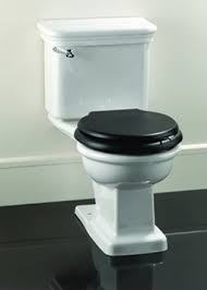 Black Toilet Seats