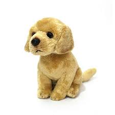 cuddly critters plush golden retriever dog josie jnr 15cm stuffed toy soft toys stuffed s