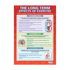 Physical Education School Chart Long Term Effects Of Exercise