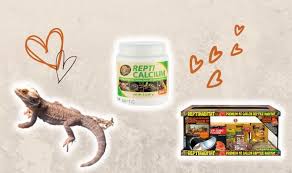 why bearded dragons make good pets