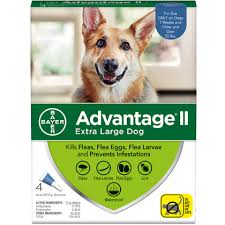 Advantage Ii 4pk Dog Over 55 Lbs