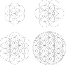 shapes sacred geometry flower