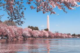 a family friendly weekend in dc the
