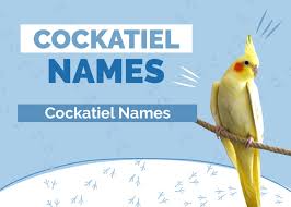 200 atiel names awesome names for