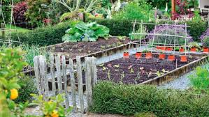 Planning A Vege Garden Sort These 10