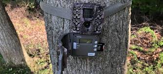 to format an sd card in a trail camera