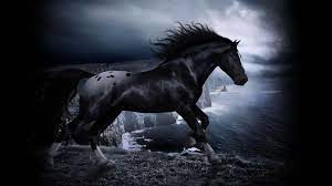 Cool Horses Wallpapers - Top Free Cool ...