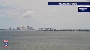 live webcams fox 13 ta bay